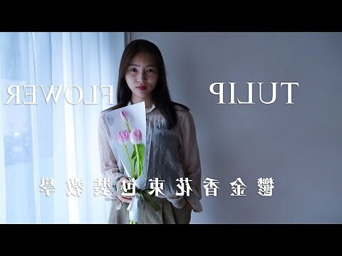 粉紅色鬱金香 花語